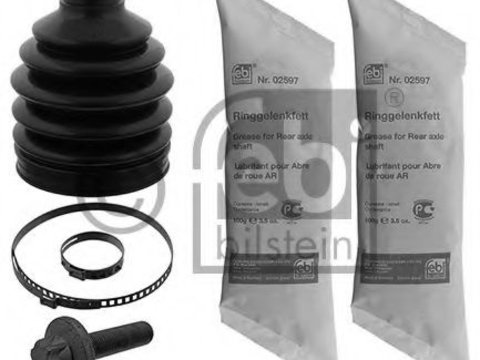 Set burduf cap planetara MERCEDES S-CLASS (W221) (2005 - 2013) Febi Bilstein 43449