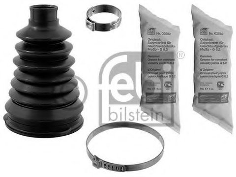 Set burduf cap planetara RENAULT SYMBOL II (LU1/2_) (2008 - 2016) Febi Bilstein 10355