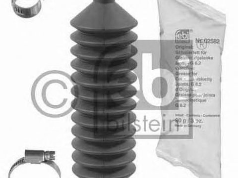 Set burduf directie FORD FIESTA III GFJ FEBI FE12665