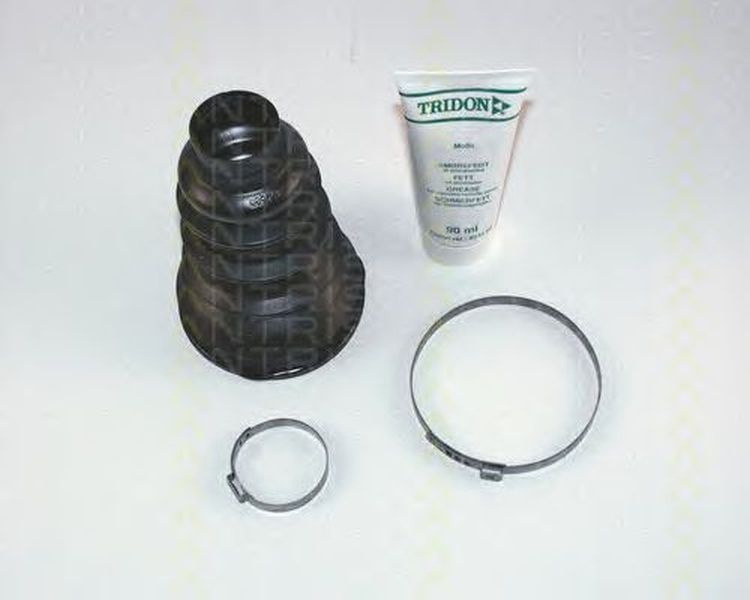 Set burduf planetara RENAULT 19 II Cabriolet D53 853 TRISCAN 854025804