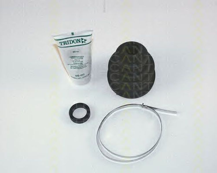 Set burduf planetara RENAULT 19 II Chamade L53 TRISCAN 854025806