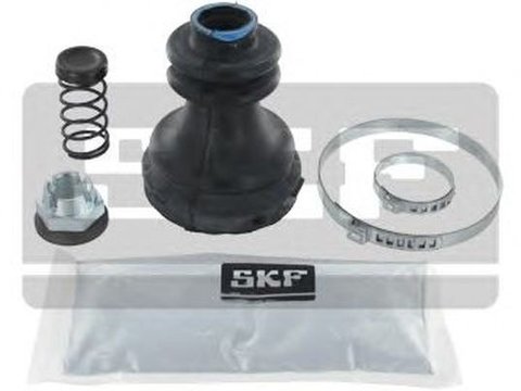 Set burduf planetara RENAULT KANGOO KC0 1 SKF VKJP6063