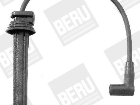Set cablaj aprindere BorgWarner (BERU) ZEF1480