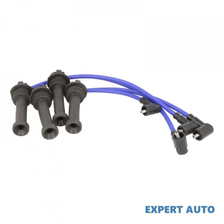 Set cablaj aprindere Ford TRANSIT CONNECT (P65_, P70_, P80_) 2002-2016 #4 0300891115