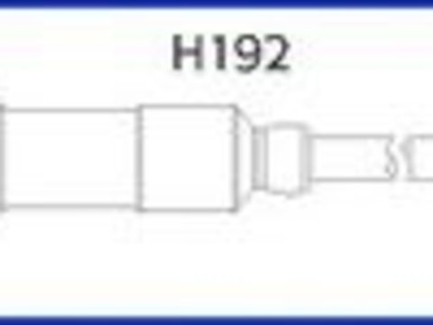 Set cablaj aprindere MERCEDES-BENZ SL (R129), MERCEDES-BENZ G-CLASS (W463), MERCEDES-BENZ C-CLASS limuzina (W202) - HCO 134779