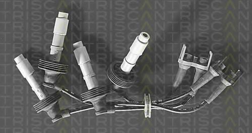 Set cablaj aprindere RENAULT LAGUNA I I (B56_, 556_), RENAULT LAGUNA I Estate (K56_), VOLVO S40 I limuzina (VS) - TRISCAN 8860 6462