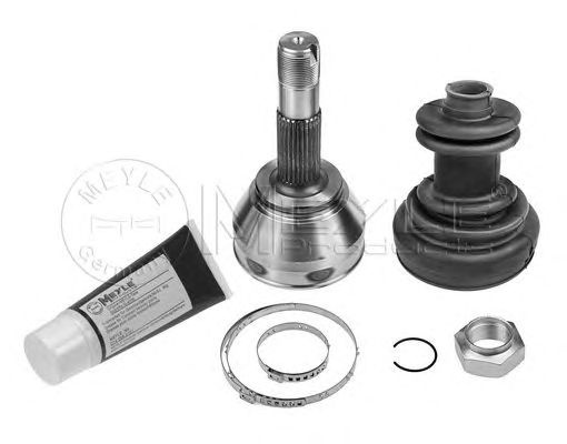 Set cap planetara (articulatie planetara) FIAT DUC
