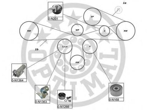 Set curea de distributie AUDI A8 limuzina (4D2, 4D8), AUDI A6 limuzina (4B2, C5), AUDI A6 Avant (4B5, C5) - OPTIMAL SK-1621