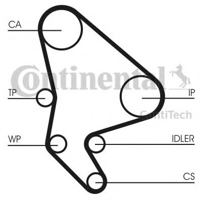 Set curea de distributie PEUGEOT 406 (8B) (1995 - 