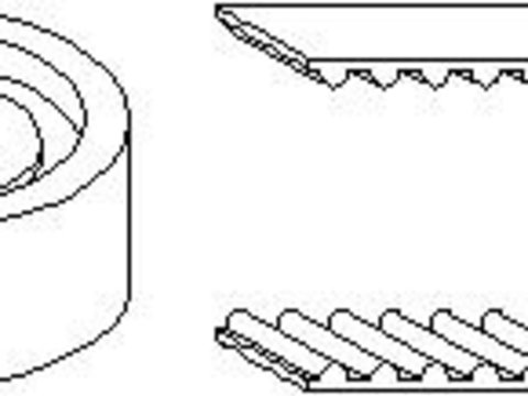 Set curea de distributie RENAULT MEGANE I (BA0/1_), RENAULT MEGANE I Classic (LA0/1_), RENAULT MEGANE Scenic (JA0/1_) - TOPRAN 700 199