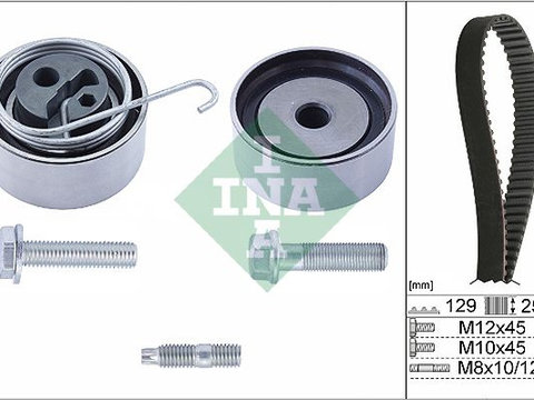 Set curea de distributie Schaeffler INA 530 0491 10