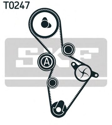 Set curea de distributie VOLKSWAGEN GOLF PLUS (5M1, 521) - Cod intern: W20035429 - LIVRARE DIN STOC in 24 ore!!!