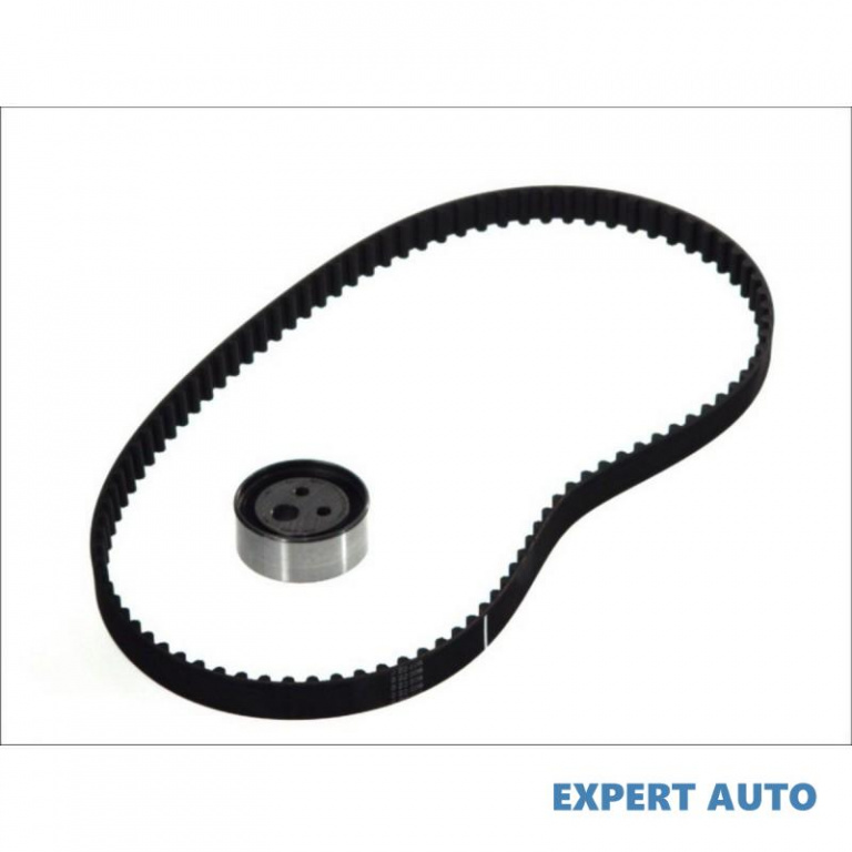 Set curea distributie Renault MEGANE Scenic (JA0/1
