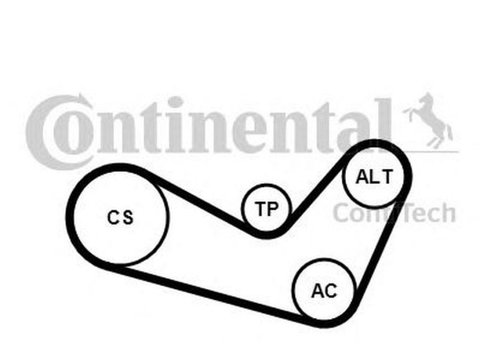 Set Curea transmisie AUDI A2 8Z0 CONTITECH 6PK1080K1