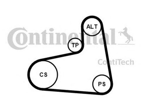 Set Curea transmisie AUDI A3 8L1 CONTITECH 6PK906K1