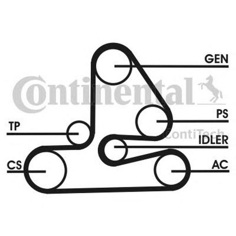Set Curea transmisie AUDI A4 Avant 8E5 B6 CONTITECH 6PK1613D1
