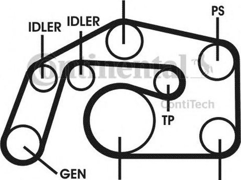 Set Curea transmisie AUDI A6 Allroad 4FH C6 CONTITECH 6PK2490D1