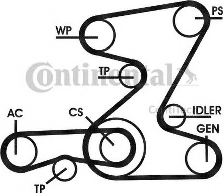Set Curea transmisie BMW 3 Compact E46 CONTITECH 6PK2080D1
