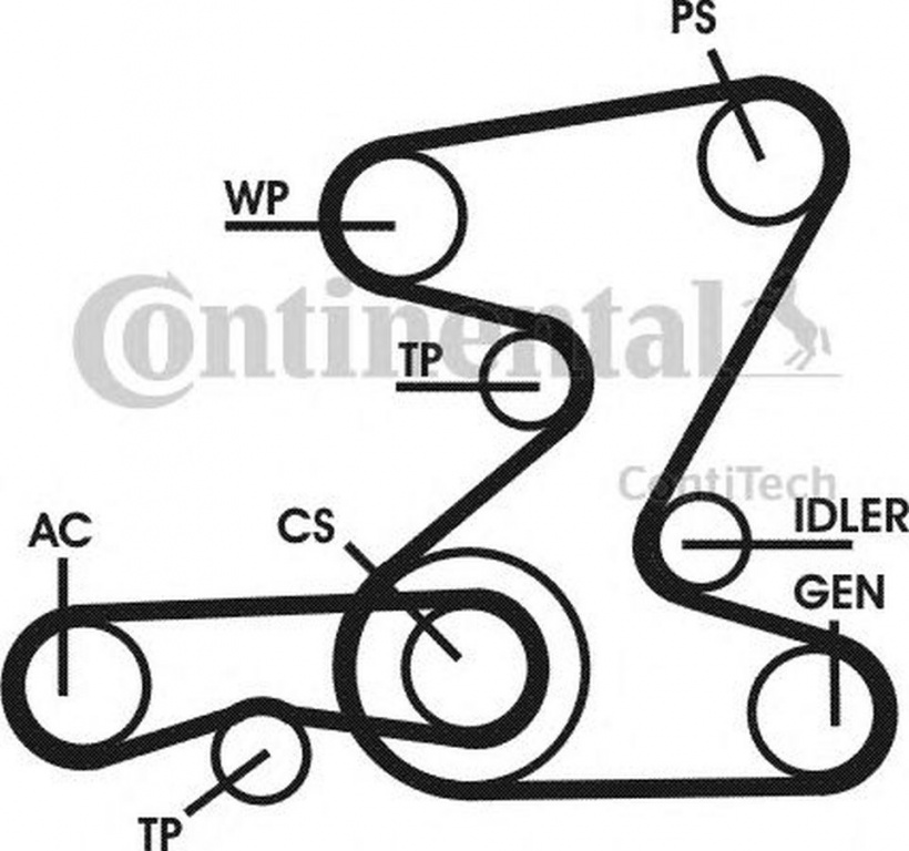 Set Curea transmisie BMW 3 E46 CONTITECH 5PK2030D1