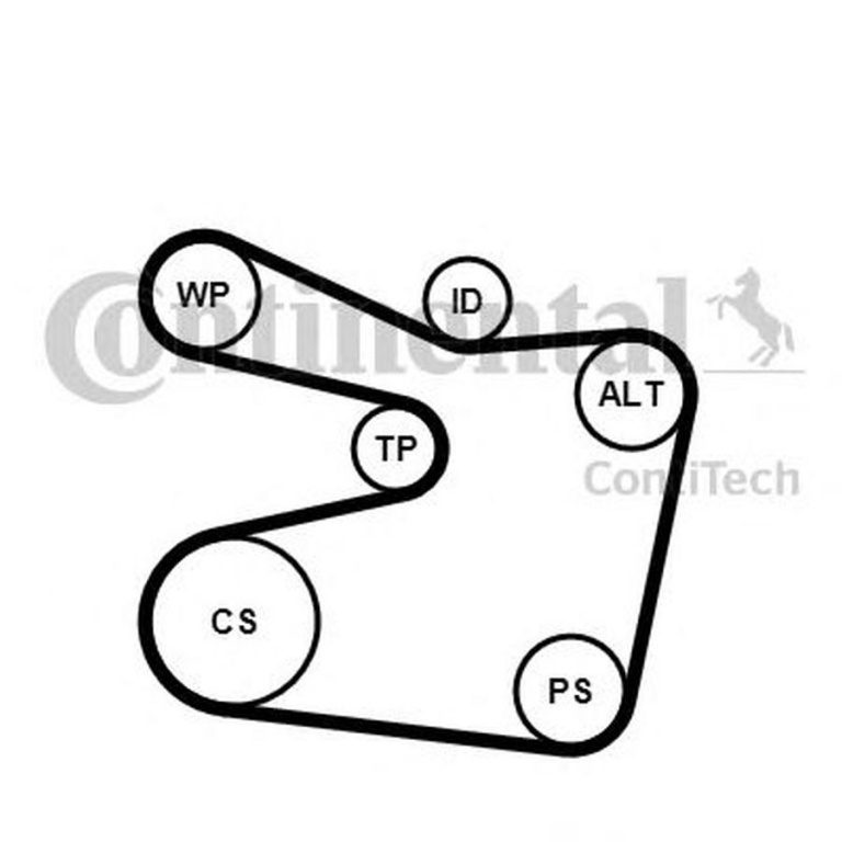 Set Curea transmisie BMW 3 Touring E36 CONTITECH 6PK1555K2
