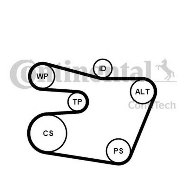 Set Curea transmisie BMW Z3 cupe E36 CONTITECH 6PK1538K1