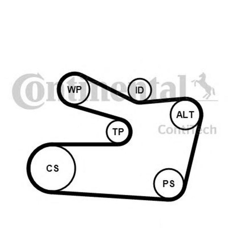 Set Curea transmisie BMW Z3 E36 CONTITECH 6PK1733K