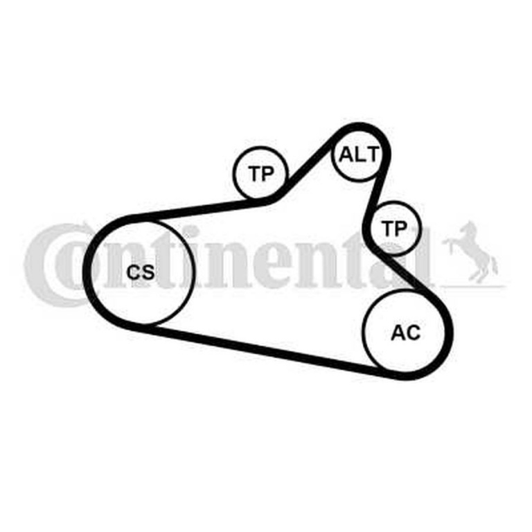 Set Curea transmisie CITROEN C5 III Break TD CONTITECH 6PK1020EXTRAK1