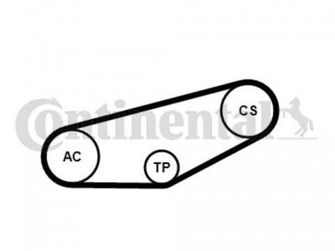 Set curea transmisie cu caneluri 4PK855K1 CONTITECH pentru Audi A4 Vw Passat Audi A6 Skoda Superb