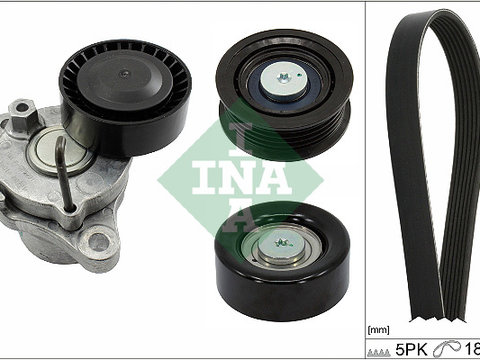 Set curea transmisie cu caneluri (529029910 INA) HYUNDAI,KIA