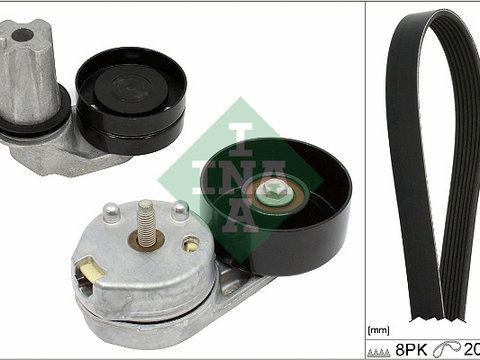 Set curea transmisie cu caneluri 529044510 INA pentru Land rover Discovery Land rover Lr4