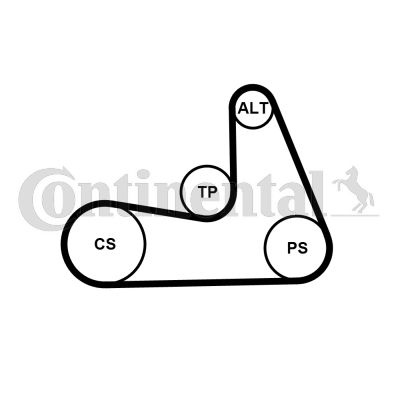 Set curea transmisie cu caneluri 5PK1121 EXTRA K1 CONTINENTAL CTAM pentru Volvo S60 Volvo Xc70 Volvo V70 Volvo Xc60 Volvo V60