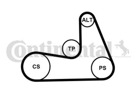 Set curea transmisie cu caneluri 5PK1121 EXTRA K1 CONTINENTAL CTAM pentru Volvo S60 Volvo Xc70 Volvo V70 Volvo Xc60 Volvo V60