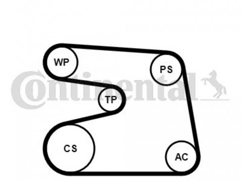 Set curea transmisie cu caneluri 6PK1873K4 CONTITECH pentru Mercedes-benz C-class Mercedes-benz Slk Mercedes-benz Clk