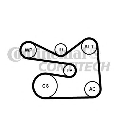 Set curea transmisie cu caneluri AUDI A1 (8X1, 8XF) - Cod intern: W20262743 - LIVRARE DIN STOC in 24 ore!!!