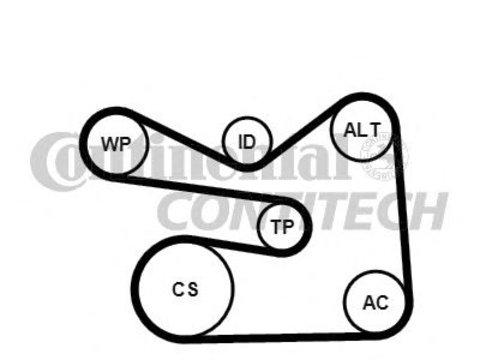 Set curea transmisie cu caneluri AUDI A1 Sportback (8XA, 8XK) - Cod intern: W20262743 - LIVRARE DIN STOC in 24 ore!!!