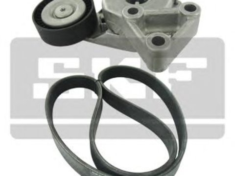 Set curea transmisie cu caneluri AUDI A3 (8P1) - Cod intern: W20035762 - LIVRARE DIN STOC in 24 ore!!!