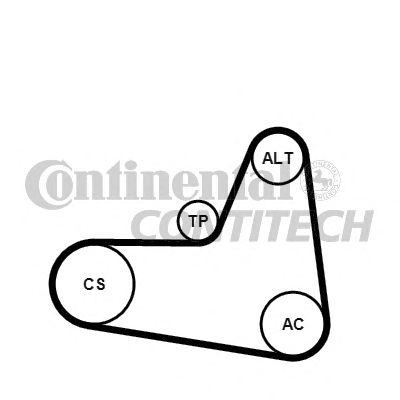 Set curea transmisie cu caneluri AUDI A3 Sportback (8PA) - Cod intern: W20262717 - LIVRARE DIN STOC in 24 ore!!!