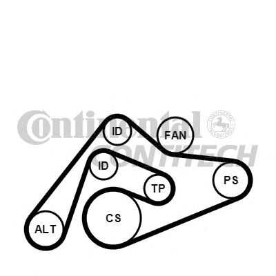 Set curea transmisie cu caneluri AUDI A6 (4B2, C5) - Cod intern: W20262751 - LIVRARE DIN STOC in 24 ore!!!