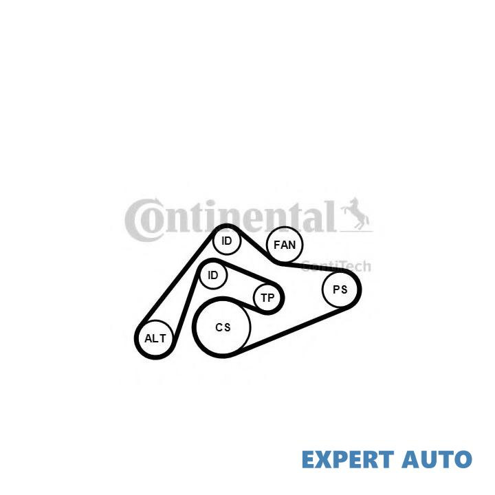 Set curea transmisie cu caneluri Audi AUDI A6 (4B2, C5) 1997-2005 #2 6PK2404K1
