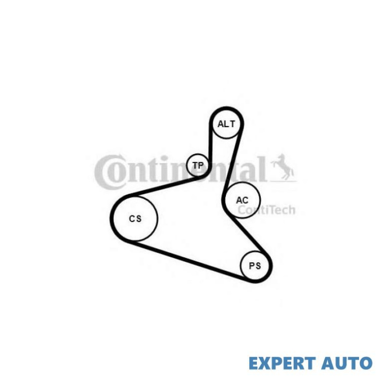 Set curea transmisie cu caneluri Audi AUDI TT Roadster (8N9) 1999-2006 #8 6DPK1195K1
