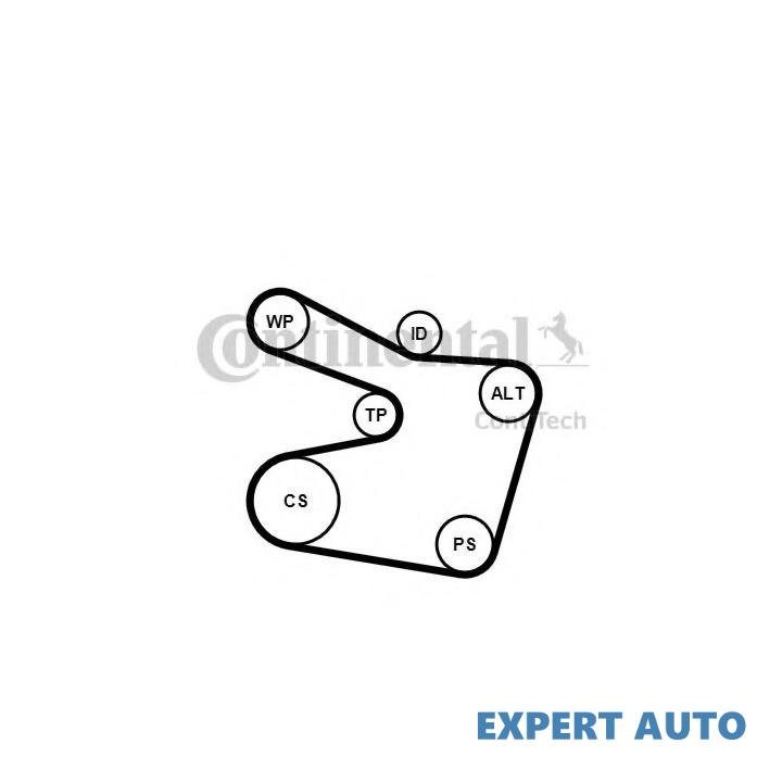 Set curea transmisie cu caneluri BMW 3 Cabriolet (E46) 2000-2007 #2 6PK1538K2