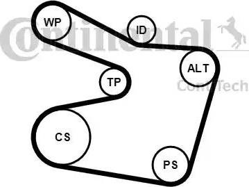 Set curea transmisie cu caneluri BMW 3 Compact IV (E46), Hatchback, 03.2001 - 02.2005 Continental 6PK1538K2