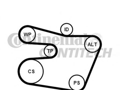 Set curea transmisie cu caneluri BMW 5 Touring (E39) - Cod intern: W20262737 - LIVRARE DIN STOC in 24 ore!!!