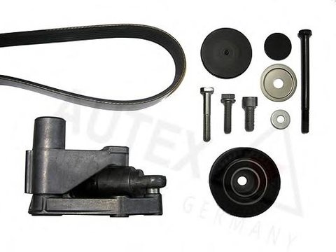 Set curea transmisie cu caneluri BMW 7 limuzina (E38), BMW 5 limuzina (E39), BMW 5 Touring (E39) - AUTEX 702657