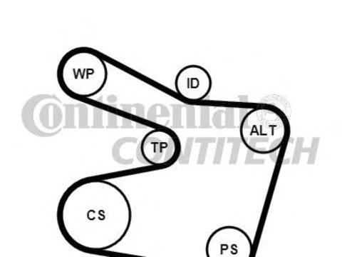 Set curea transmisie cu caneluri BMW 7 limuzina (E38), BMW 5 limuzina (E39), BMW 5 Touring (E39) - CONTITECH 6PK1538K2