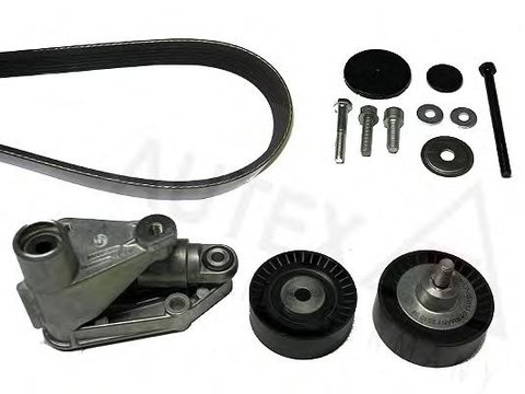 Set curea transmisie cu caneluri BMW 7 limuzina (E65, E66, E67), BMW 5 limuzina (E60), BMW 5 Touring (E61) - AUTEX 702658