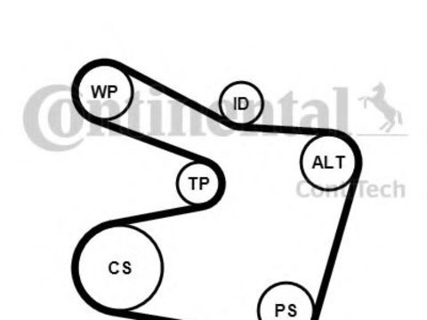 Set curea transmisie cu caneluri BMW Seria 3 (E46) (1998 - 2005) CONTITECH 6PK1538K2 piesa NOUA