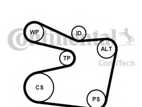 Set curea transmisie cu caneluri BMW Seria 3 Cabriolet (E36) (1993 - 1999) CONTITECH 6PK1555K2 piesa NOUA