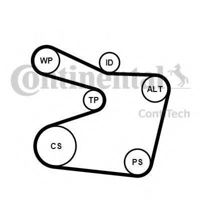 Set curea transmisie cu caneluri BMW Seria 5 Touri