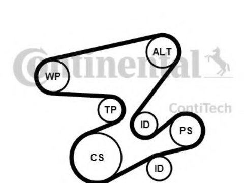 Set curea transmisie cu caneluri BMW Seria 6 (E63) (2004 - 2010) CONTITECH 6PK2080K1